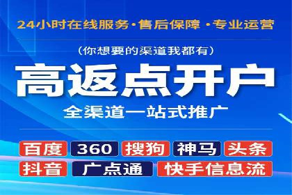 行业领先SEM托管代运营案例